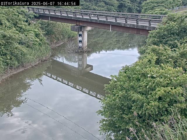 最新監視カメラ画像