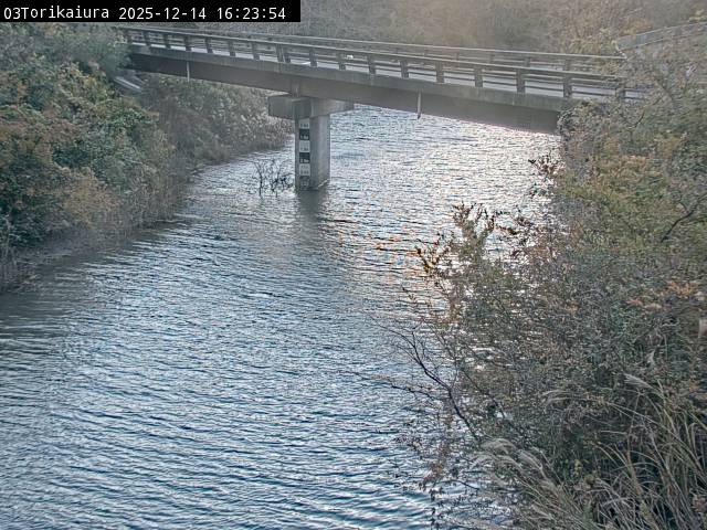 最新監視カメラ画像