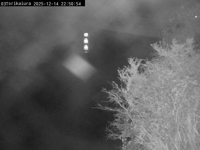 最新監視カメラ画像