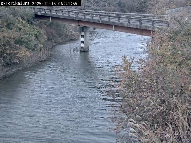 最新監視カメラ画像