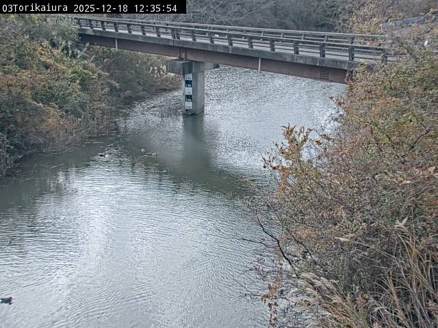 最新監視カメラ画像