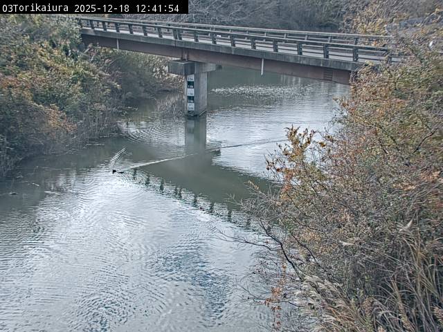 最新監視カメラ画像