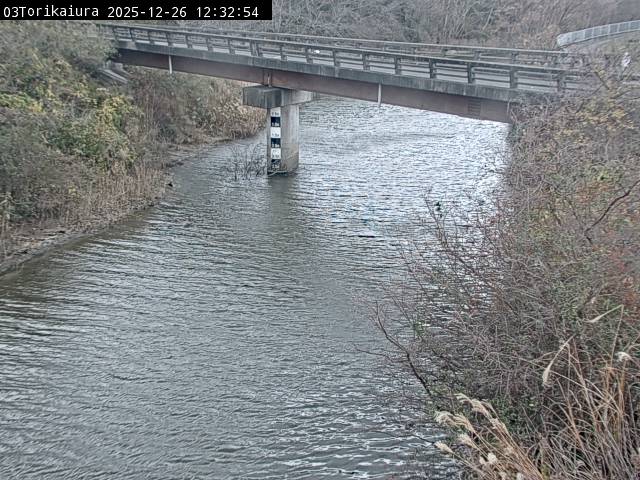 最新監視カメラ画像