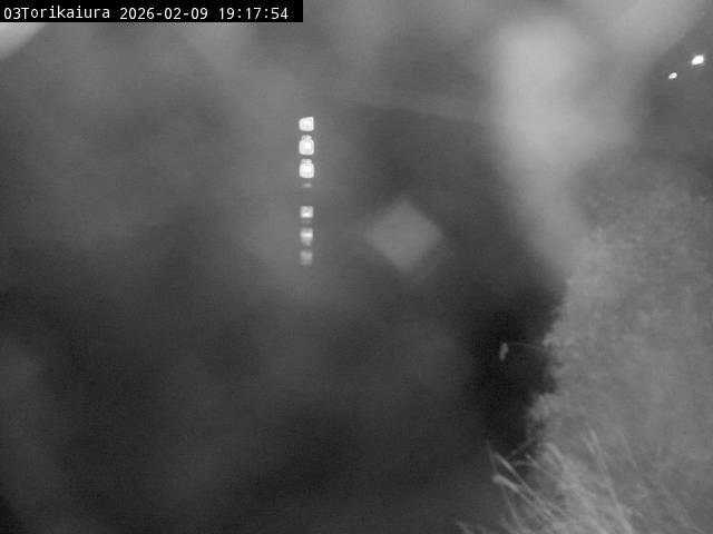 最新監視カメラ画像