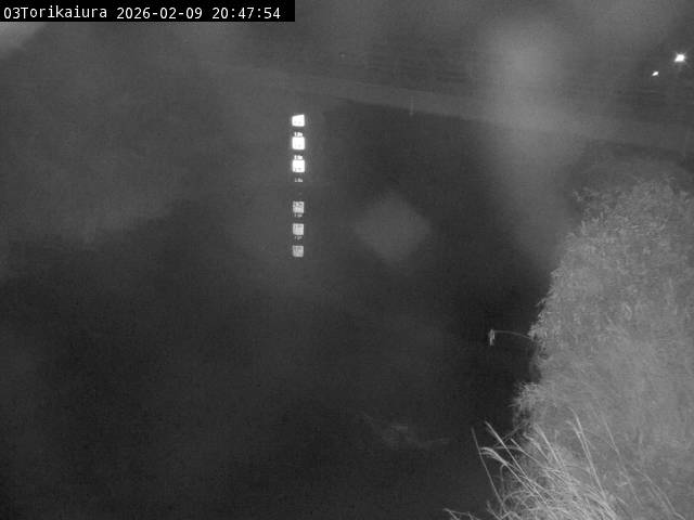 最新監視カメラ画像