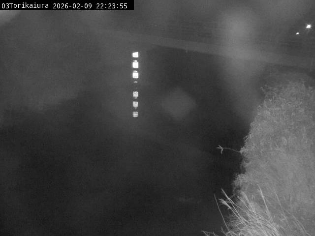 最新監視カメラ画像