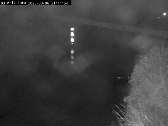 最新監視カメラ画像