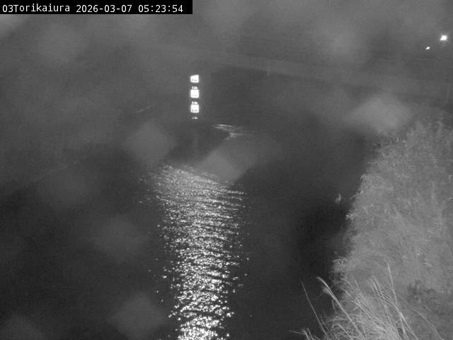 最新監視カメラ画像