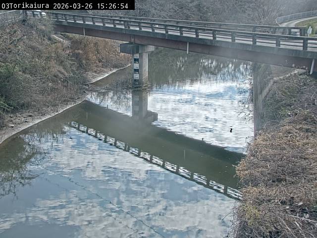 最新監視カメラ画像