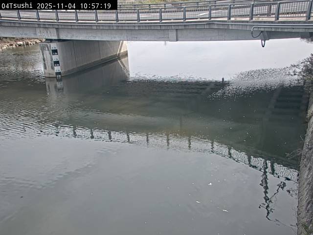 最新監視カメラ画像