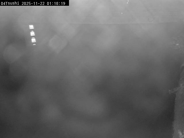 最新監視カメラ画像