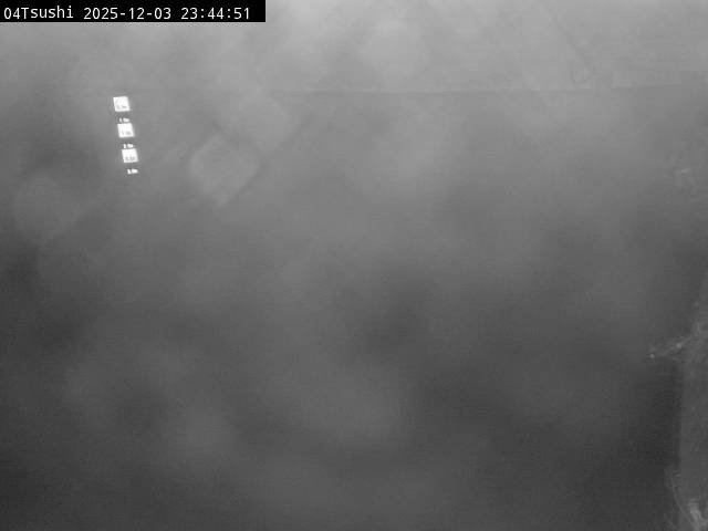 最新監視カメラ画像