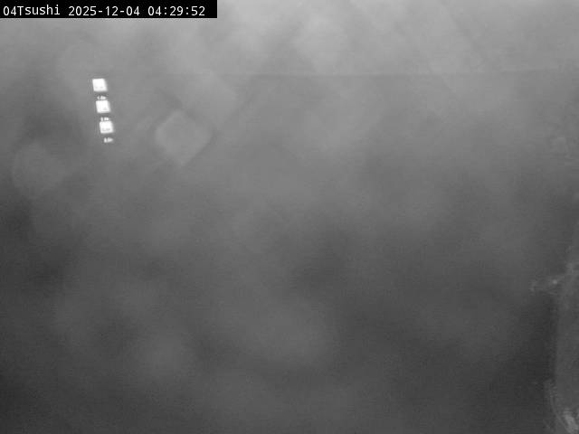 最新監視カメラ画像