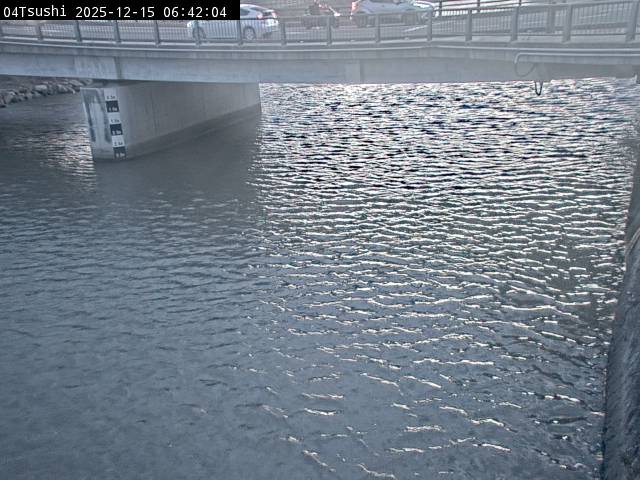 最新監視カメラ画像