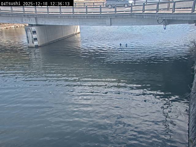 最新監視カメラ画像