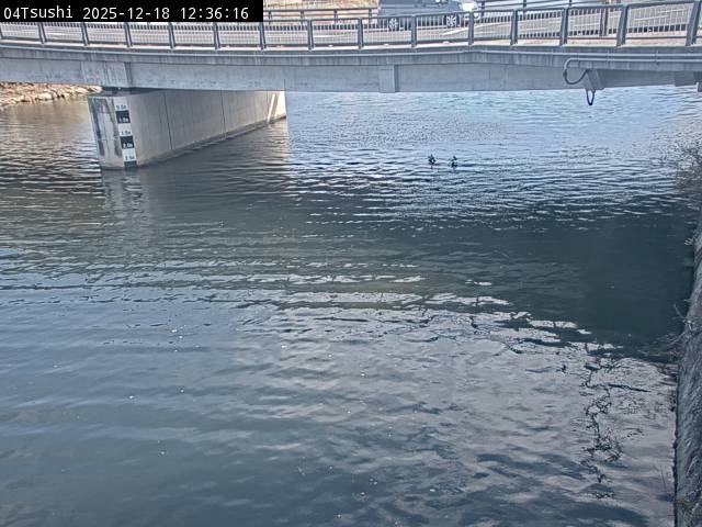 最新監視カメラ画像