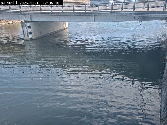 最新監視カメラ画像