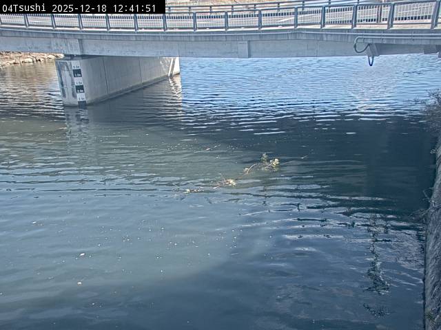 最新監視カメラ画像