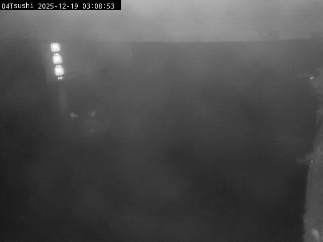 最新監視カメラ画像