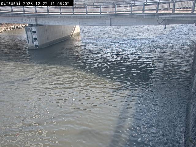 最新監視カメラ画像