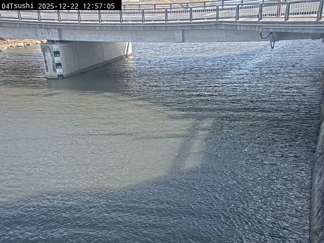 最新監視カメラ画像