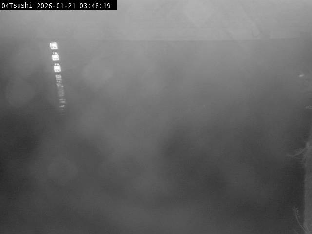 最新監視カメラ画像