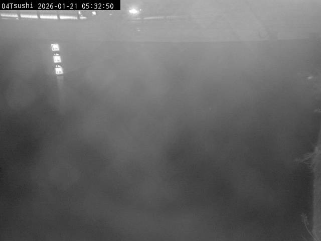 最新監視カメラ画像