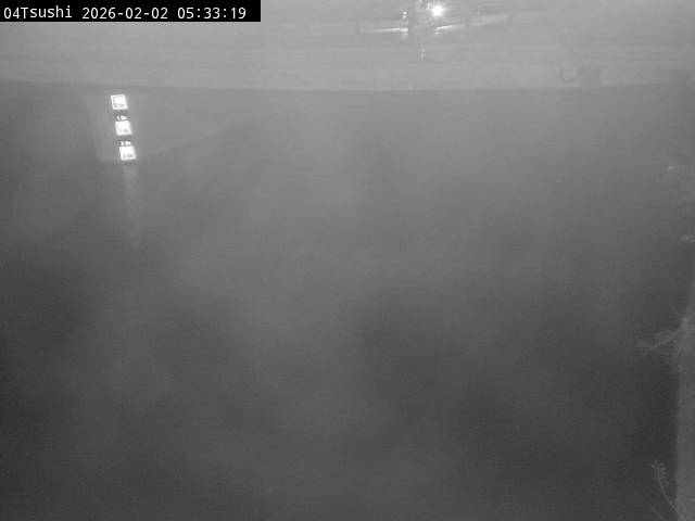 最新監視カメラ画像