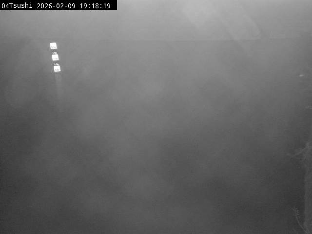 最新監視カメラ画像