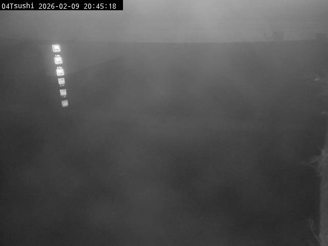 最新監視カメラ画像