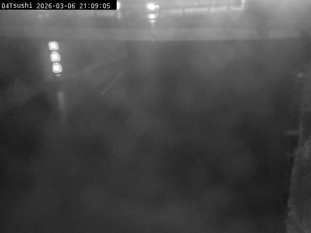 最新監視カメラ画像