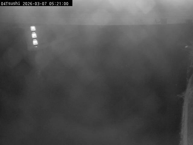 最新監視カメラ画像