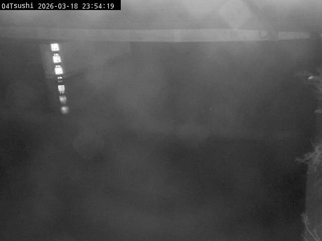 最新監視カメラ画像