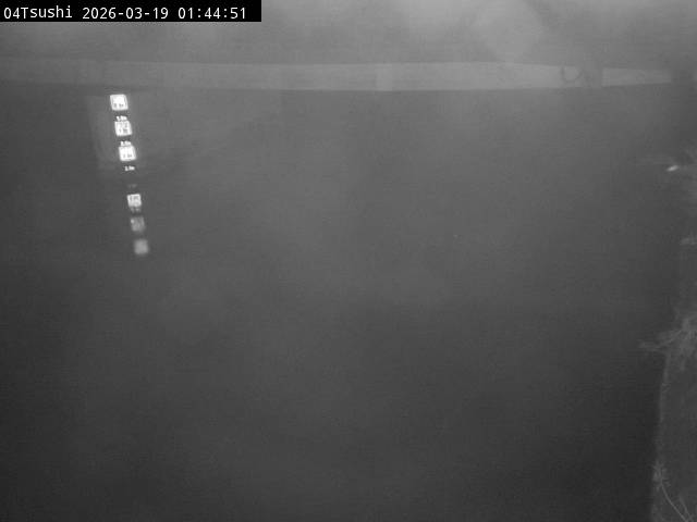 最新監視カメラ画像