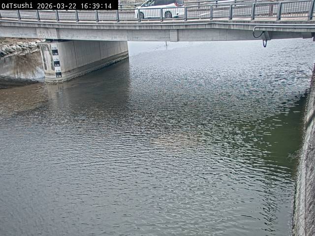 最新監視カメラ画像