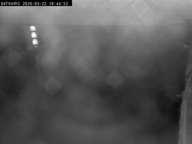 最新監視カメラ画像