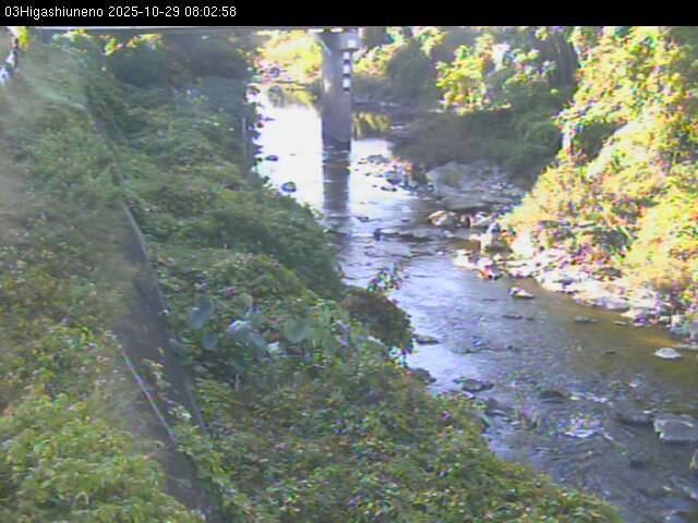 最新監視カメラ画像