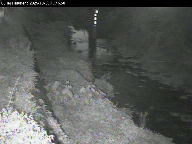 最新監視カメラ画像