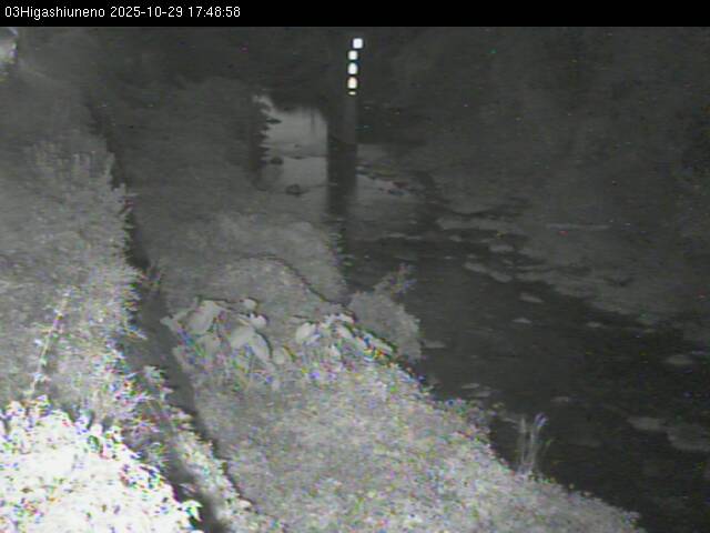 最新監視カメラ画像