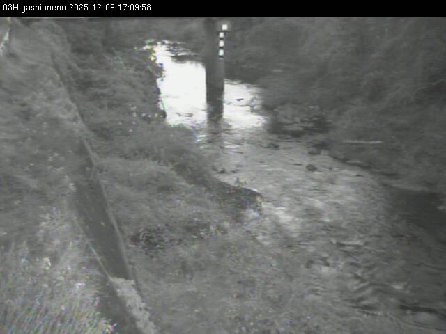 最新監視カメラ画像