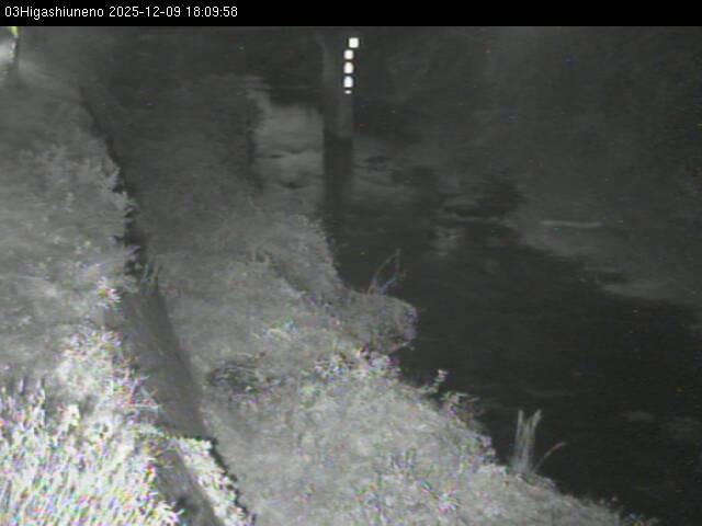 最新監視カメラ画像