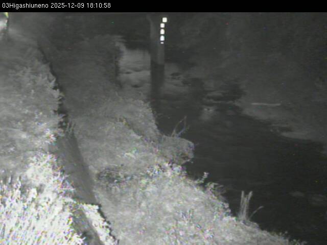 最新監視カメラ画像