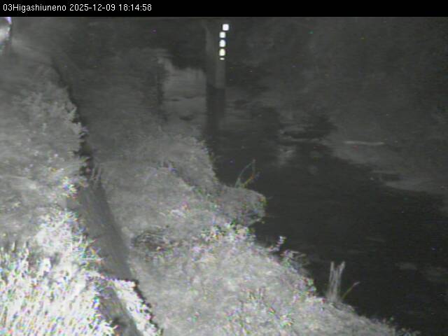 最新監視カメラ画像