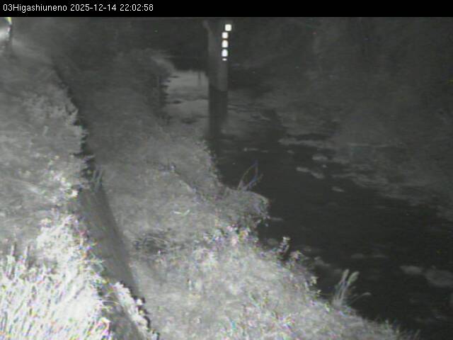 最新監視カメラ画像