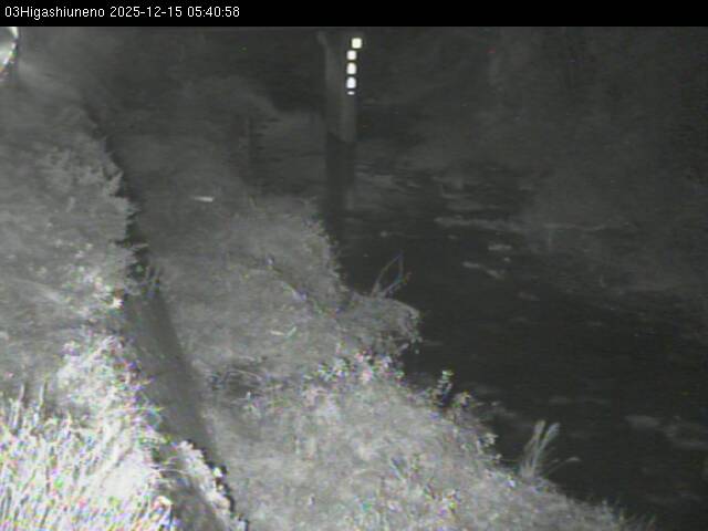 最新監視カメラ画像