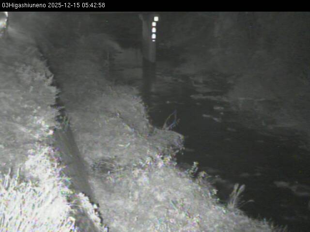 最新監視カメラ画像