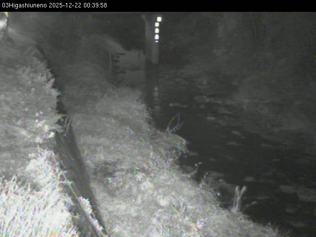 最新監視カメラ画像