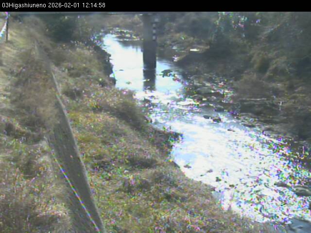 最新監視カメラ画像