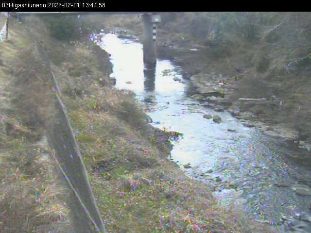 最新監視カメラ画像