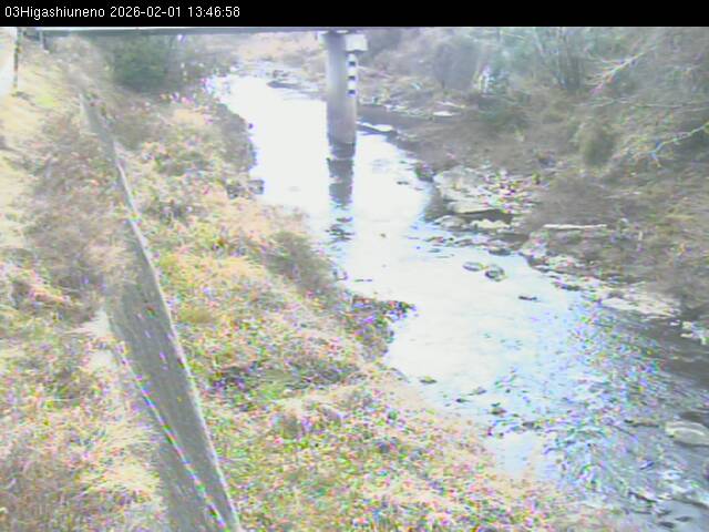 最新監視カメラ画像